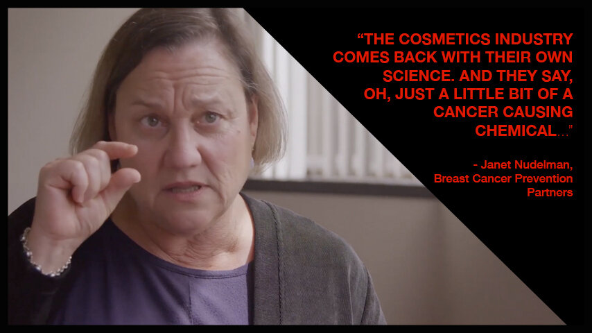 Janet Nudelman, Director, Campaign for Safe Cosmetics & Breast Cancer Prevention Partners